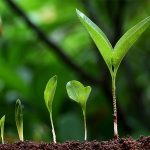 Demystifying Growth – The One Crucial Ingredient That’s Often Overlooked