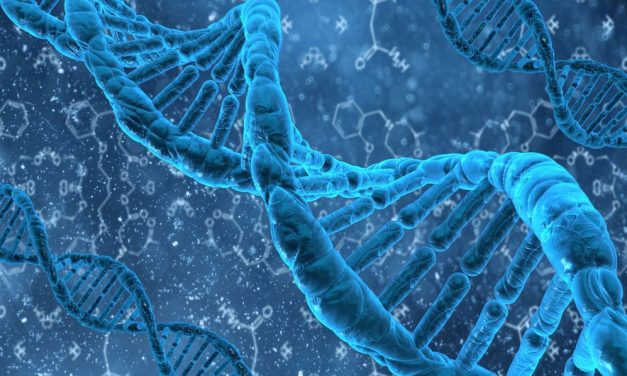Nobel-Winning DNA Research Challenges Evolutionary Theory